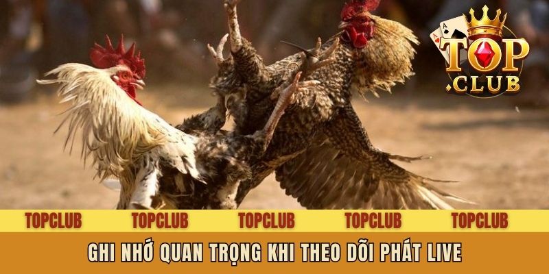 Ghi nhớ quan trọng khi theo dõi phát live