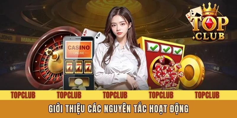 Giới thiệu các nguyên tắc hoạt động